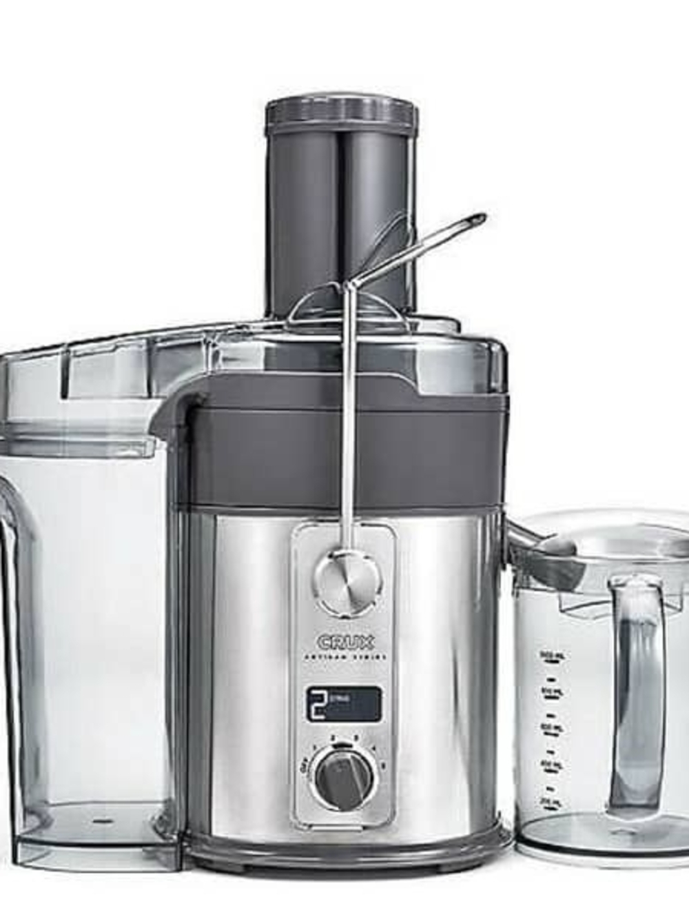 Stainless Steel Juice Extractor in Silver and Gray